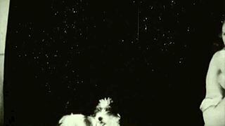 Natural tits delights dark night entertainment