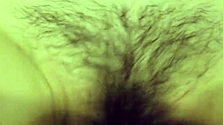 My wife’s wet and hairy vagina
