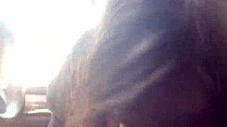 Beautiful brunette gives blow job to big black cock