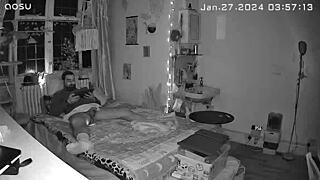 Lextalon - pig spied with a spy cam, so it happens