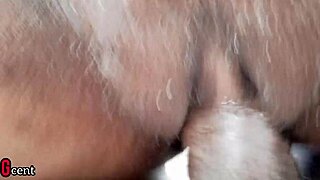 Swollen Pussy Pounded Hard by BBC in Wild Action