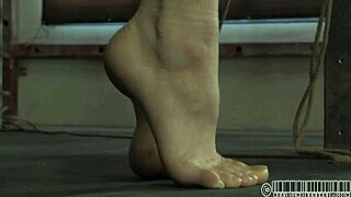 Explore free sadomasochism sex videos with intense bondage and domination scenes