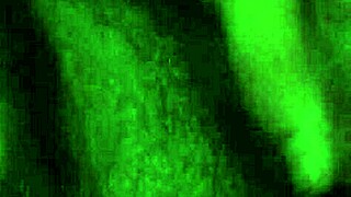 Big Dick Masturbates With Monster Cock In Hand