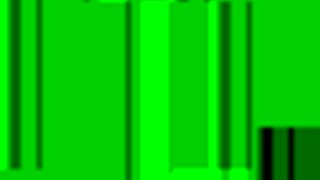 2013 Amateur Shemale Encounter Caught on Cam