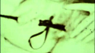 Klassieke cumshot scènes