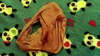 what's in my neighbor's dirty laundry that arouses me so much