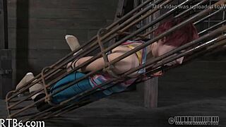 amateurs exploring sadomasochism in intense sessions