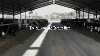 Dominatrix Mistress April domnește în bârlogul crud al Văduvelor Negre