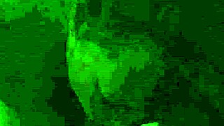 Lunchtime fun with amateur blowjobs?