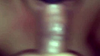 latina babe dives into cock sucking pov adventure