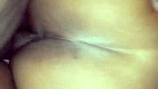 bbc doggystyle smashing bent over fat milf ass