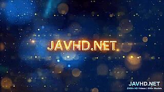 What to Do with Legs in Stockings Volume 28