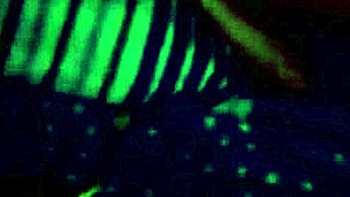 tercera parte del video de yorgelis kent y erika schwarzenberg