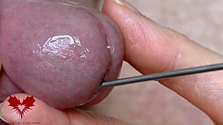 Sounding sessie plaagt met extreme close-up van eikel