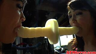 roundass babes suck dildos 😍