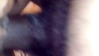 Thick Detroit Chick Gets Nailed Hard