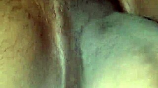 Exploring gay interests and lifestyles