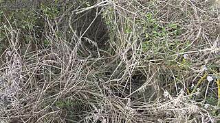 Französische Stiefmutter zeigt ihre haarige Muschi beim Pissen