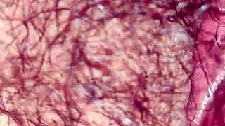 베트남 선생님이 야한 면 드러내