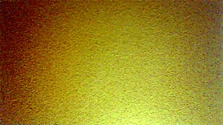 Mexican amateurs bent over in doggystyle fun