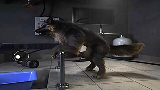 H0rs3 - Wild Fucking Machine Compilation Action