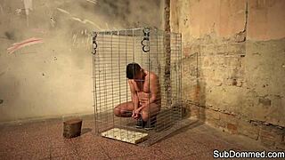 The teasing European femdom tugs the submissive's dick in bondage