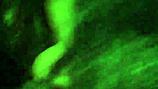 Best Blowjob Leading to Mouthful Cumshot?