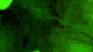 i give a blowjob to british guy, oops