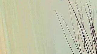 Gay Fellows Engage in Raw Porn Activities