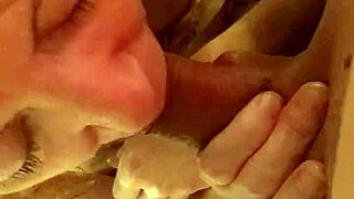 Roxanne and Xander in a homemade video as cock suckers