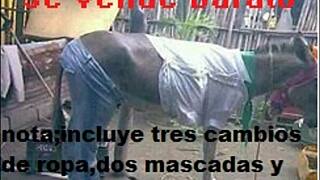 Imis showing off solo, so hot! 😍