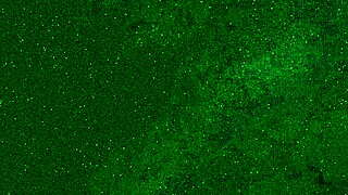 teasing little wet pussy 😏