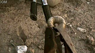 During summer cycling, a young guy receives a hot blowjob