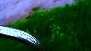 During summer cycling, a young guy receives a hot blowjob