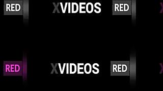 Eu Com O Social Sem Camisa Levamos O Alex Capixabaaa No Ap Do Kinky Chaser Rolou Uma Suruba Boa - Completo No Red