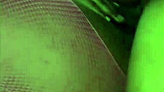 carnival saturday fun in 2024