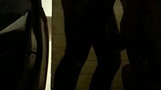 Aluna Nova deepthroats my cock with passion!