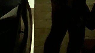 Aluna Nova deepthroats my cock with passion!