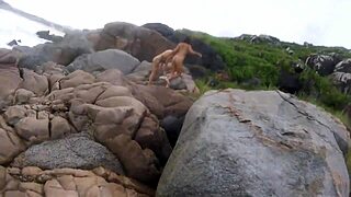 Passeio Com Elas Small 18+ Tits Outdoor Natural Tits Tits Big Tits Public Pussy Big Natural Tits