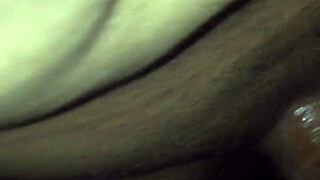 Sexo Cdmx Perrito Mexicana Mexico Puta