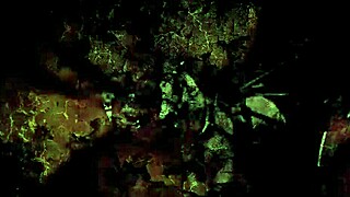 Vintage erotic drawings of anime hentai cartoons