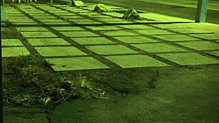 Stranded teen 18+ roughly fucked outdoors