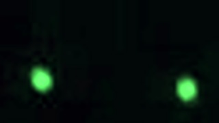 Brazilian Gay Stallion Tries Passive Role In Outdoor Group Sex