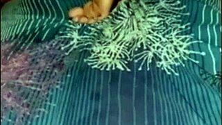 After Massage, Mother-in-Law Begs for Hard Pounding Part21