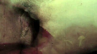 vintage taboo pussy and pooch outdoors