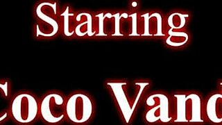 Playing strip poker with sexy stepmom Coco Vandi