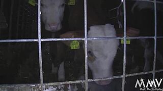 hey, watch this les babe fingering closeup, isn't it hot?