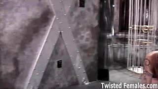 Train You Like A Dog