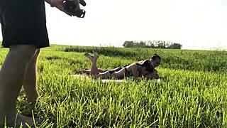 Горячая блондинка тинейджер 18+ жестко трахается за кулисами в сыром закулисном действии