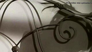 Best stepbrother fucks hard when parents are away